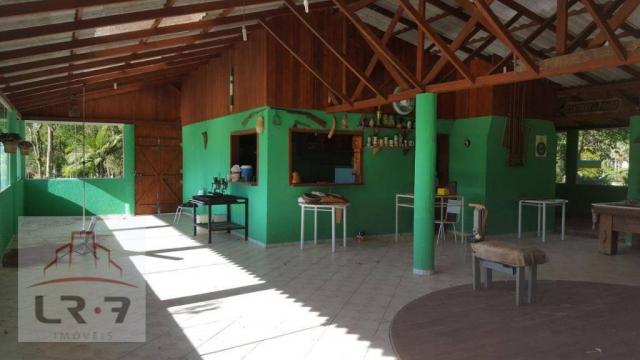 Chácara residencial à venda, Faxina, São José dos Pinhais. - Foto 17