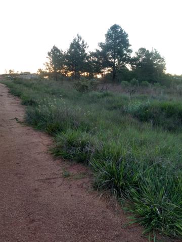 Terreno na beira da br 290!