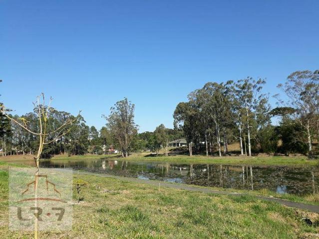 Terreno no Bosque Merhy, Quatro Barras. - Foto 9