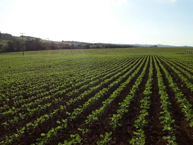 Fazenda /Lapa