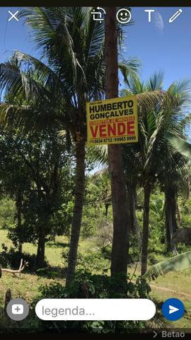 Fazenda na estrada Ilhéus/ Sambaituba