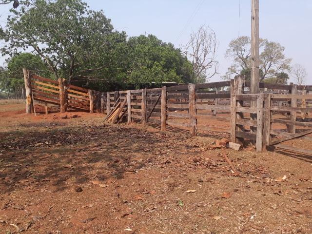 Fazenda 70 Alqueires - região Paranaíba - F100519 - Foto 2
