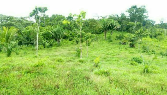 Colônia com 84 Hectares de terra Titulada - Foto 2
