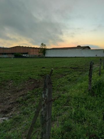 Vendo áreas lindas Costeira São José dos Pinhais Direto proprietario - Foto 4