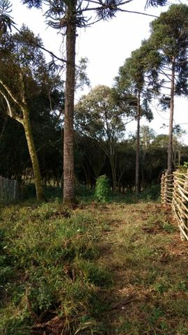 Chácara em Araucária, asfaltada, aceito trocas
