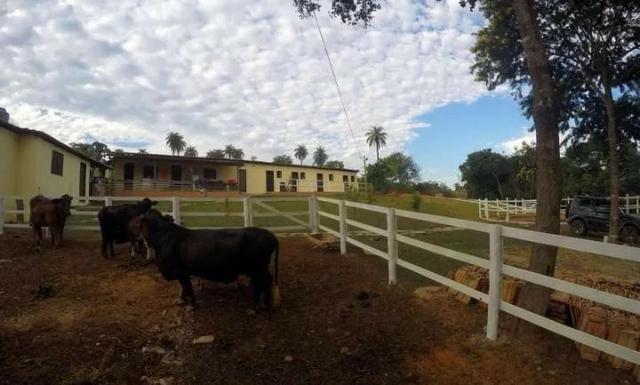 Vendo Esta Fazenda - Foto 6
