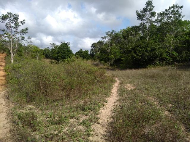 Vendo fazenda com 125 tarefas em Pojuca - Ba - Foto 18