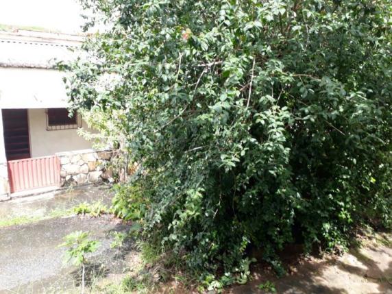 Casa com lote de 420 metros . - Foto 17