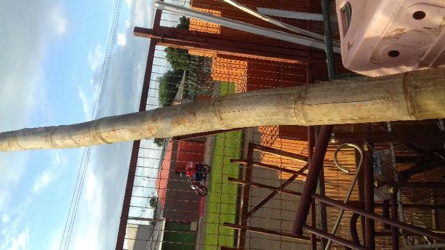Pedaco de bambu 150 mm x 3 m