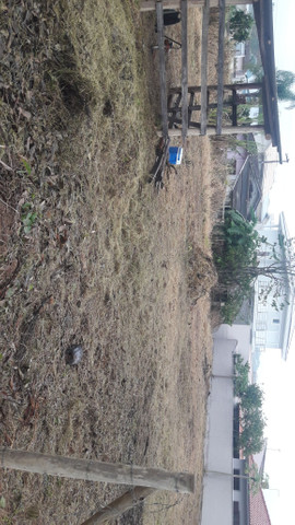 Vasques Jardinagem