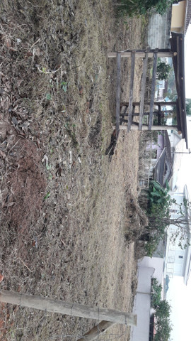 Vasques Jardinagem - Foto 5