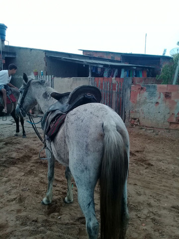 Www.c.br