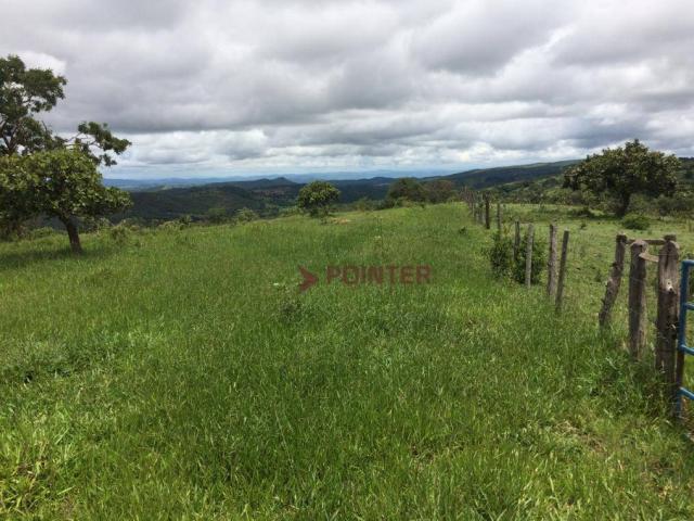 Fazenda com 4 dormitórios à venda, 310 alqueirão cidade de deus - cocalzinho de goiás/go - Foto 5