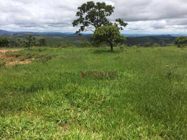 Fazenda com 4 dormitórios à venda, 310 alqueirão cidade de deus - cocalzinho de goiás/go - Foto 4