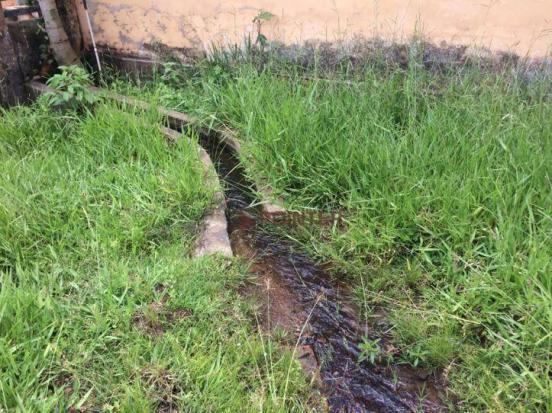 Fazenda com 4 dormitórios à venda, 310 alqueirão cidade de deus - cocalzinho de goiás/go - Foto 16