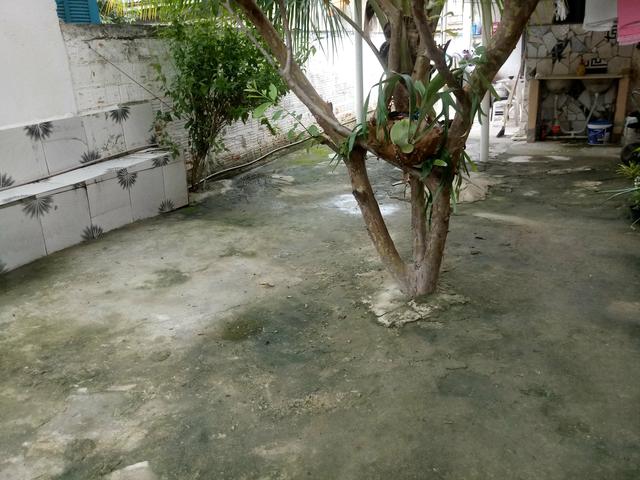 Duas lindas casas - Foto 15