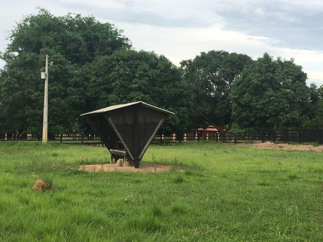 Excelente Fazenda para criação de gado - Foto 3
