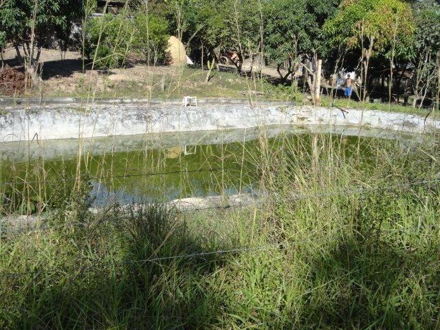 Fazenda Escriturada 90 Hect as Margens do Rio Areia Localizado Santo Antônio do Descoberto - Foto 7