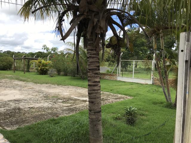 Sítio - Recanto da Lagoa - MG - Foto 5
