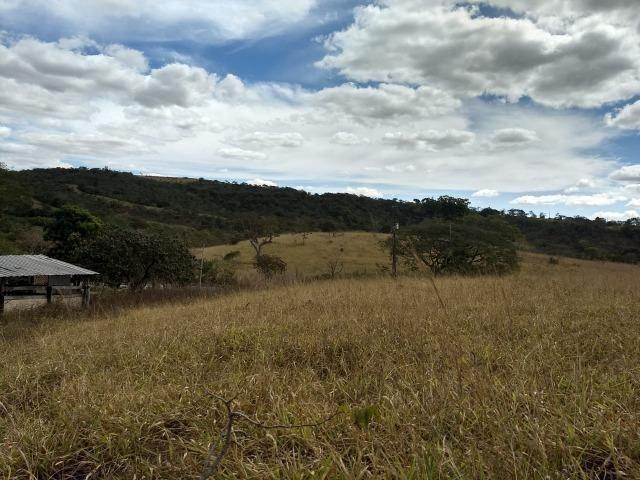 Fazenda Escriturada 90 Hect as Margens do Rio Areia Localizado Santo Antônio do Descoberto - Foto 5