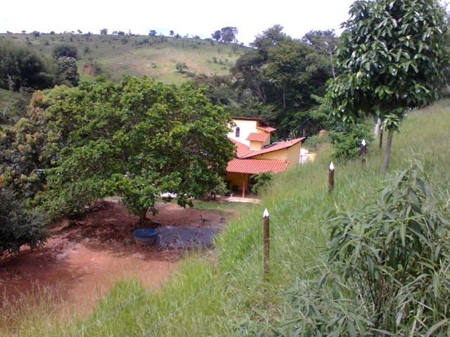 Maravilhoso sitio próximo ao aeroporto regional Zona da Mata de Minas - Foto 3