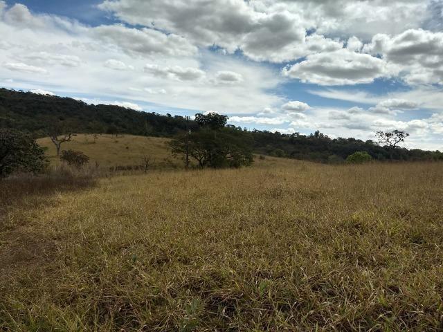 Fazenda Escriturada 90 Hect as Margens do Rio Areia Localizado Santo Antônio do Descoberto - Foto 4