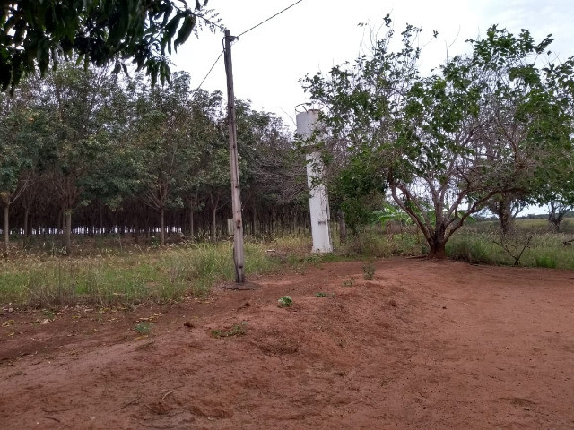 Sitio, 8 alqueires. com seringueiras, casa, poço, artesiano, proximo ao asfalto - Foto 2