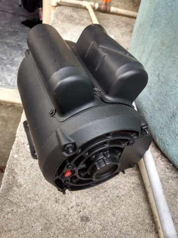 Motor WEG