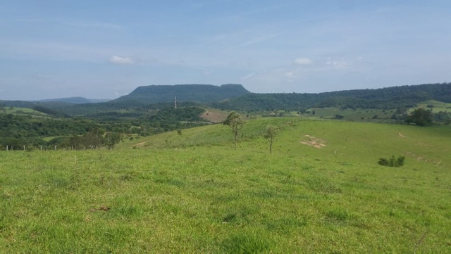 Vendo Excelente Sitio em Torre de Pedra ao lado Fazenda Sao Jorge - Foto 8