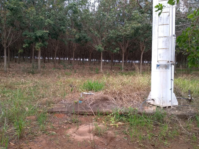 Sitio, 8 alqueires. com seringueiras, casa, poço, artesiano, proximo ao asfalto - Foto 4