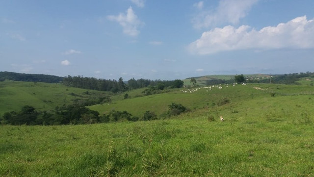 Vendo Excelente Sitio em Torre de Pedra ao lado Fazenda Sao Jorge - Foto 9