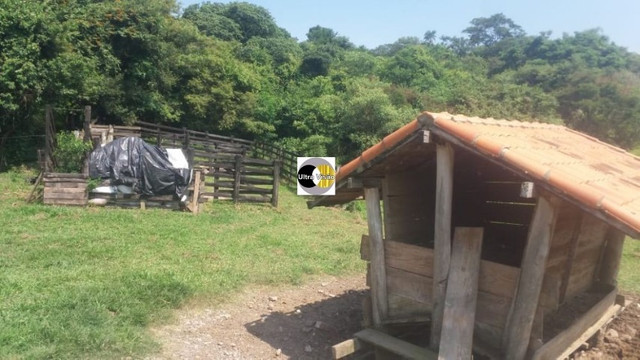 Vendo Excelente Sitio em Torre de Pedra ao lado Fazenda Sao Jorge - Foto 5
