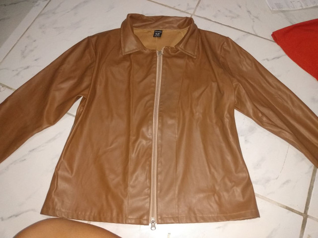 olx jaqueta de couro