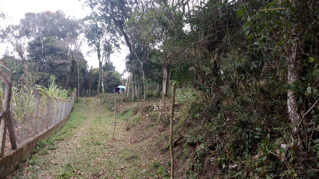 Vendo terreno Ibiúna 520mts - Foto 7