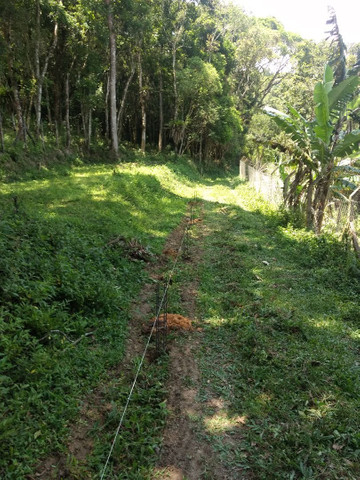 Vendo terreno Ibiúna 520mts
