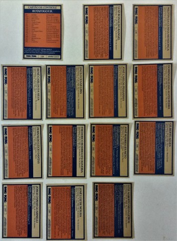 Futebol Cards Ping Pong - Botafogo FR - A - B - Foto 2