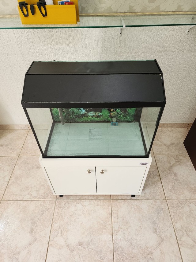 Aquário 100l com sump traseiro 