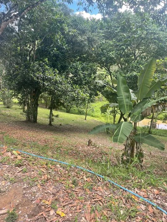 Venda de Sitio com 2.1 hectares escriturado em gravata com bastante de água !!!! - Foto 2