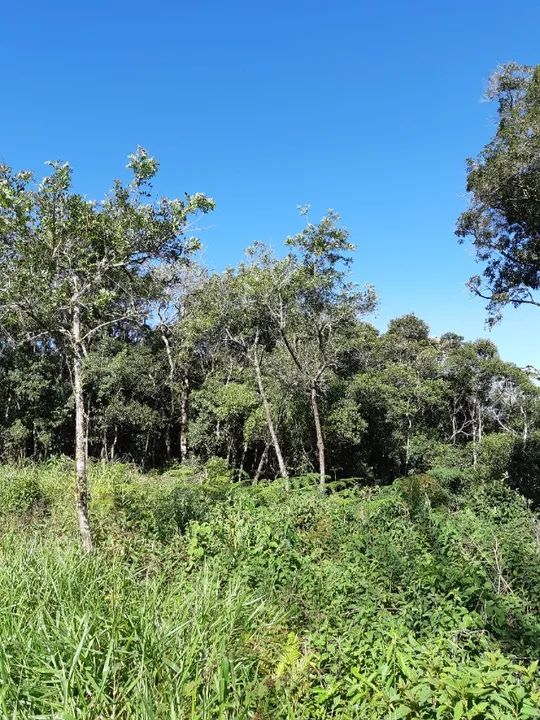 Oportunidade em Caucaia do Alto. - Cotia. - Foto 4
