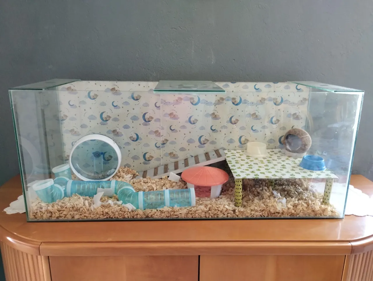 Terrário para Hamster