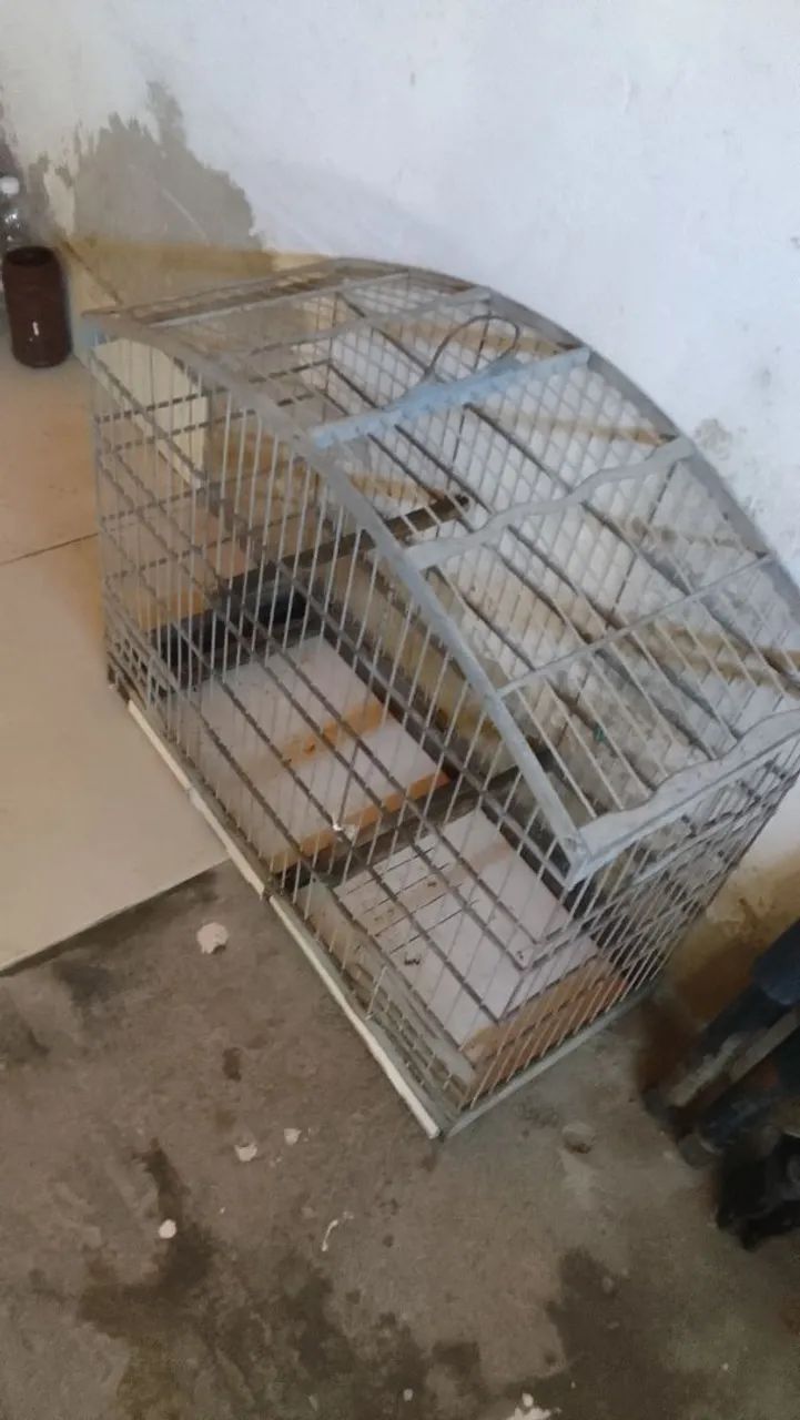Gaiola para pássaros - Foto 6