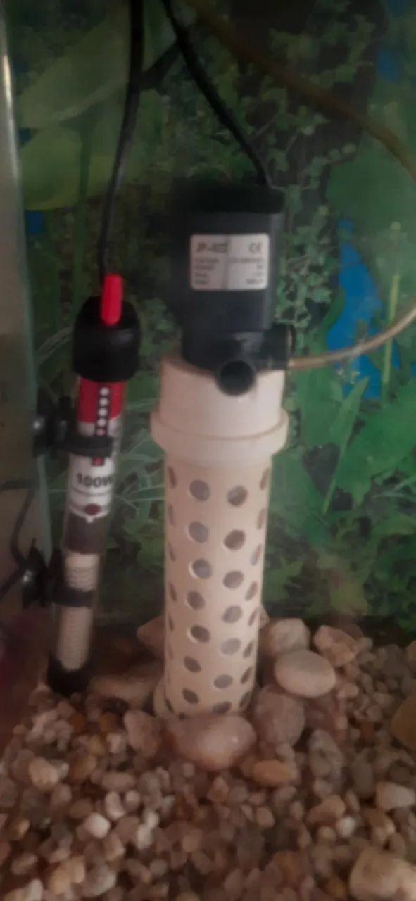 Aquario de 70litros mais bomba e termostato  e tampa de madeira  - Foto 3