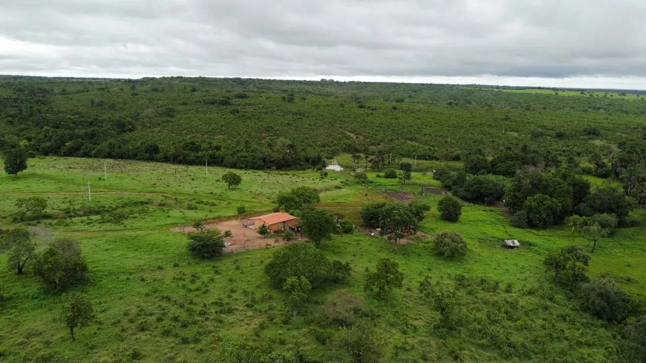 Fazenda de 126 Alqueires
