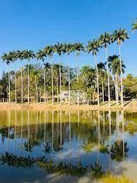 Terreno à venda - Joapiranga - Valinhos/SP - Foto 4