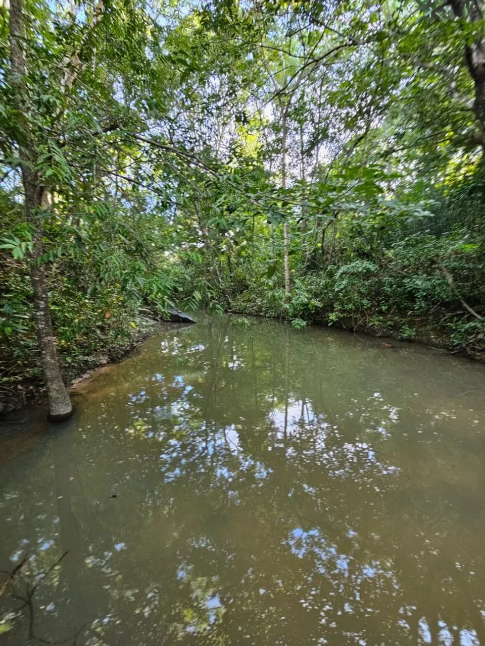 Fazendinha boa em faina  - Foto 3