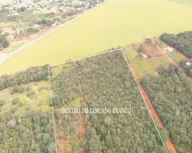 Viva com Tranquilidade: Sítio Completo com Água Abundante e Muito Verde - Foto 5