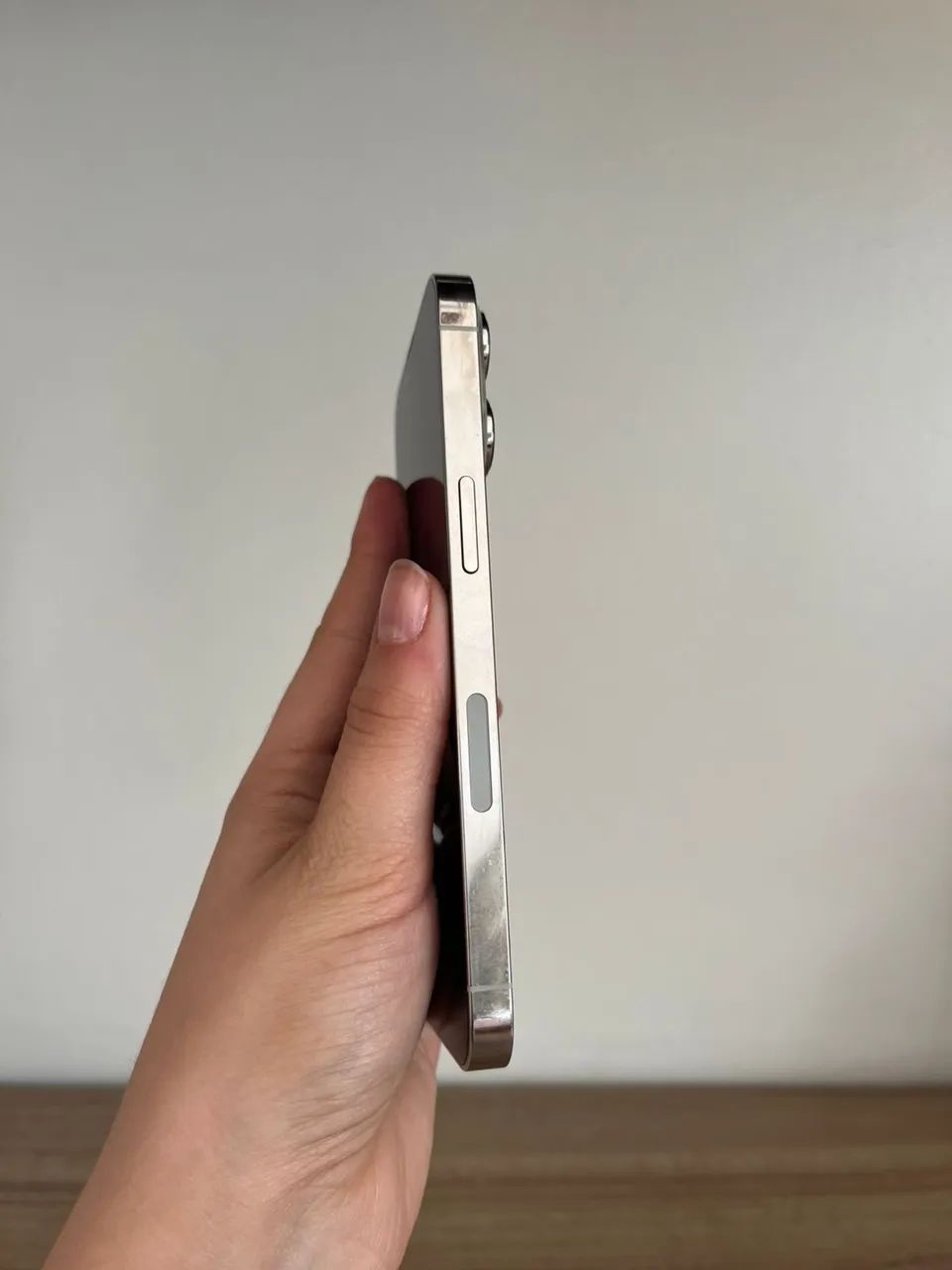 iPhone 13 Pro 256GB Silver Garantia Loja Física - Celulares e