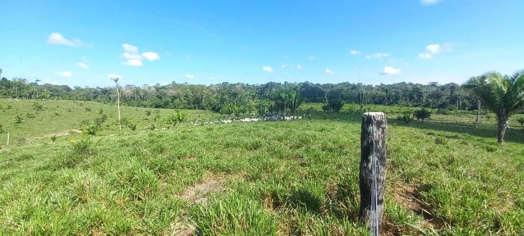 fazenda liberdade  - Foto 2