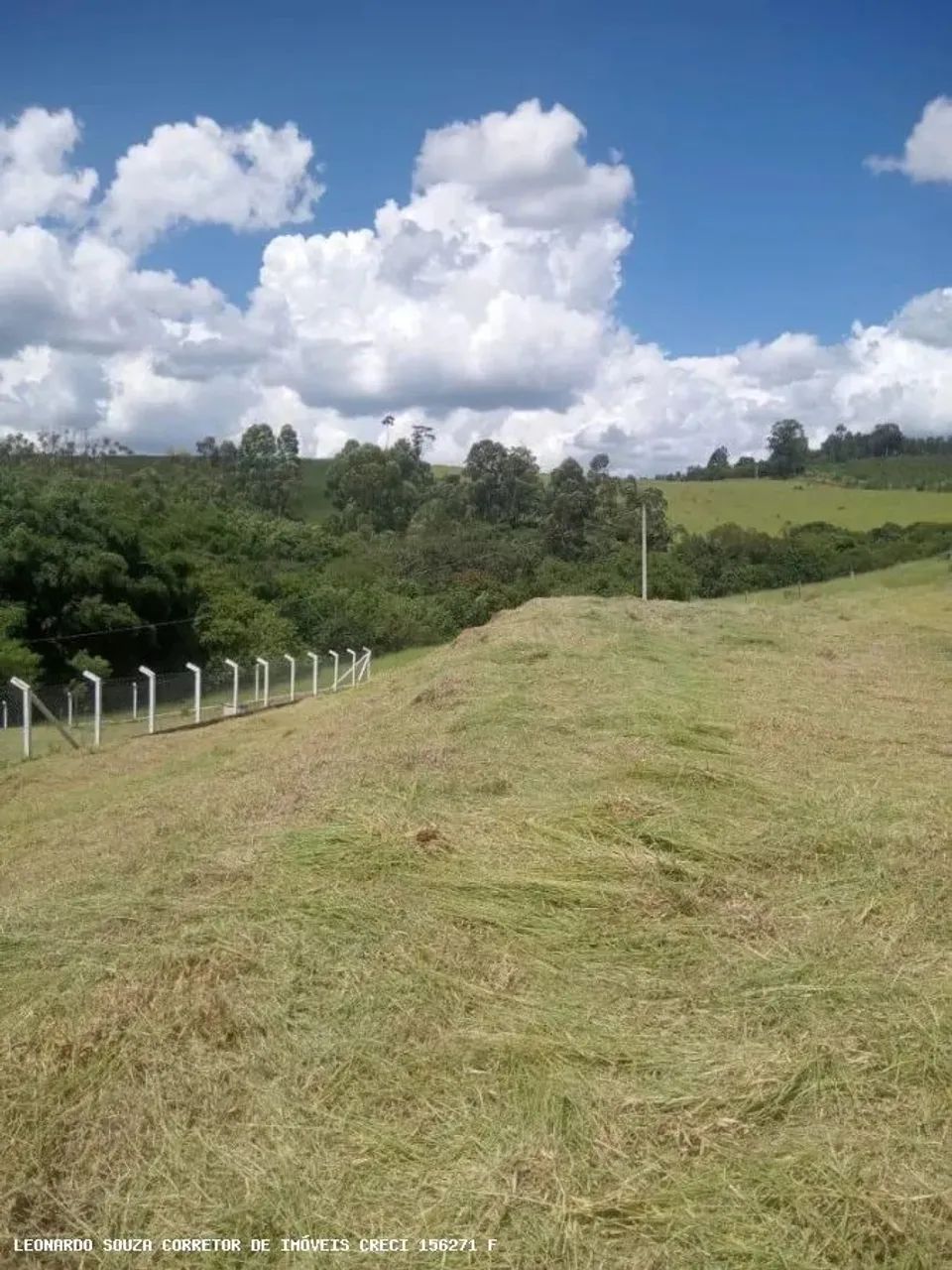 Terreno para Venda em Pedra Bela, Zona Rural - Foto 4
