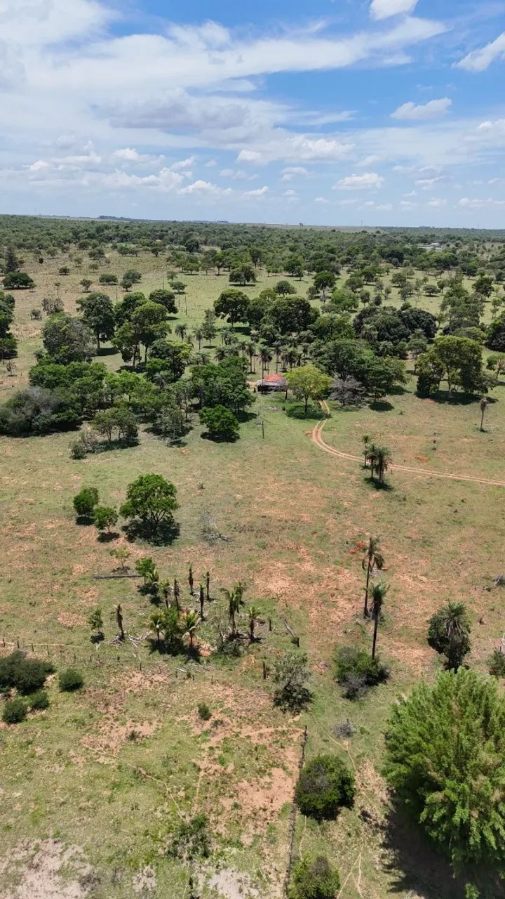 03 Chácaras Próxima a Campo Grande Juntas ou Separadas! - Foto 2